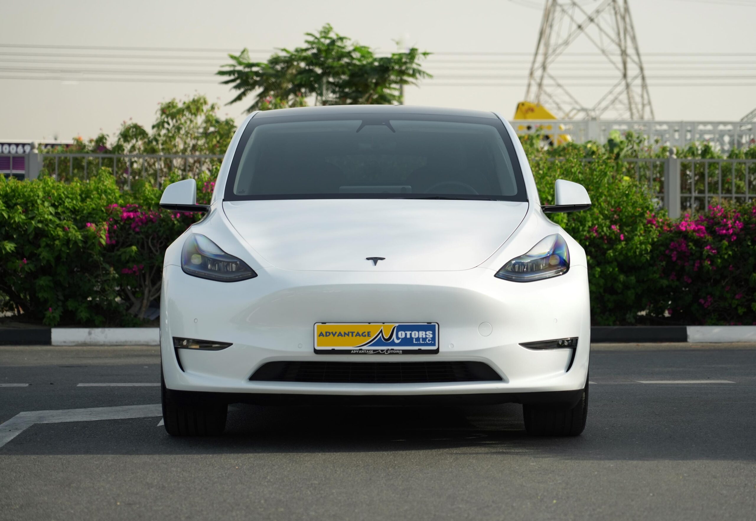 TESLA MODEL Y LONG RANGE