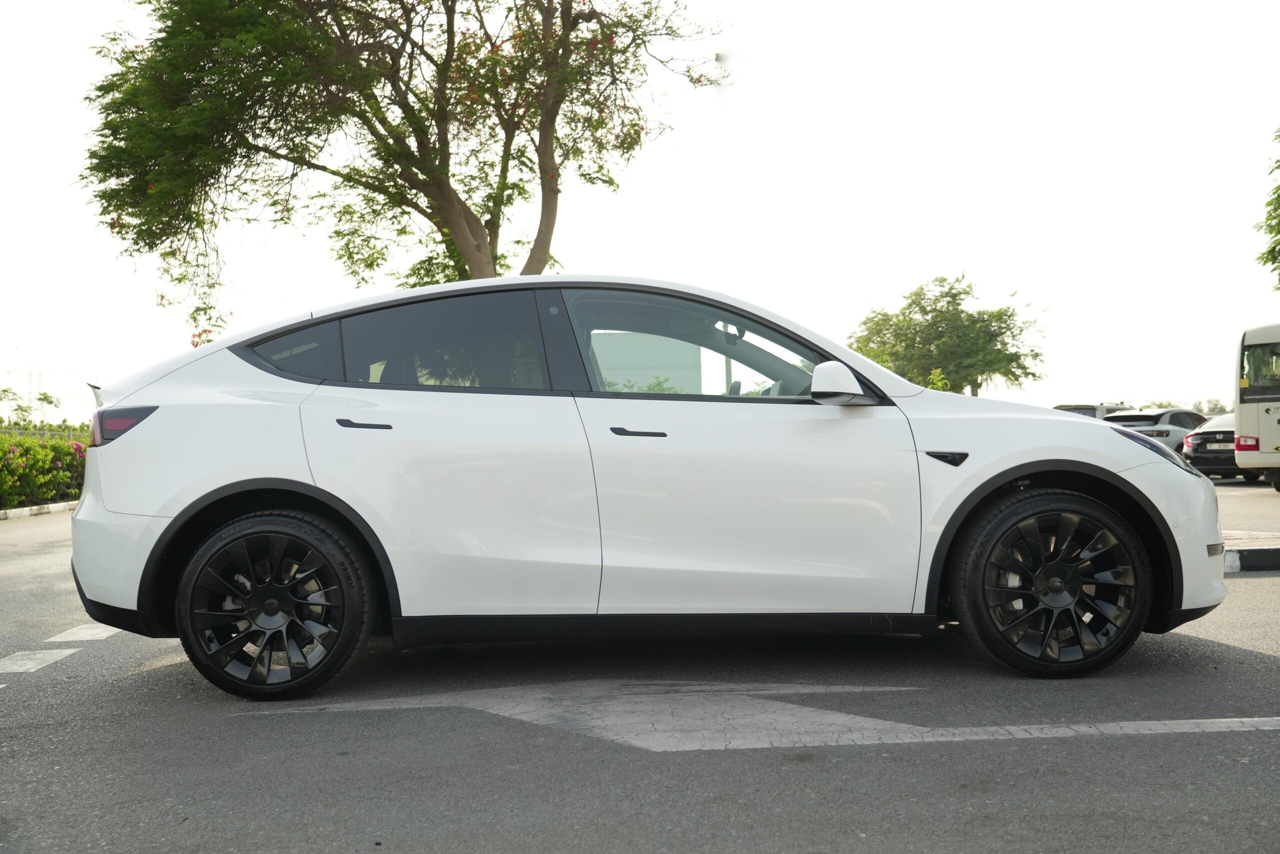 TESLA MODEL Y LONG RANGE