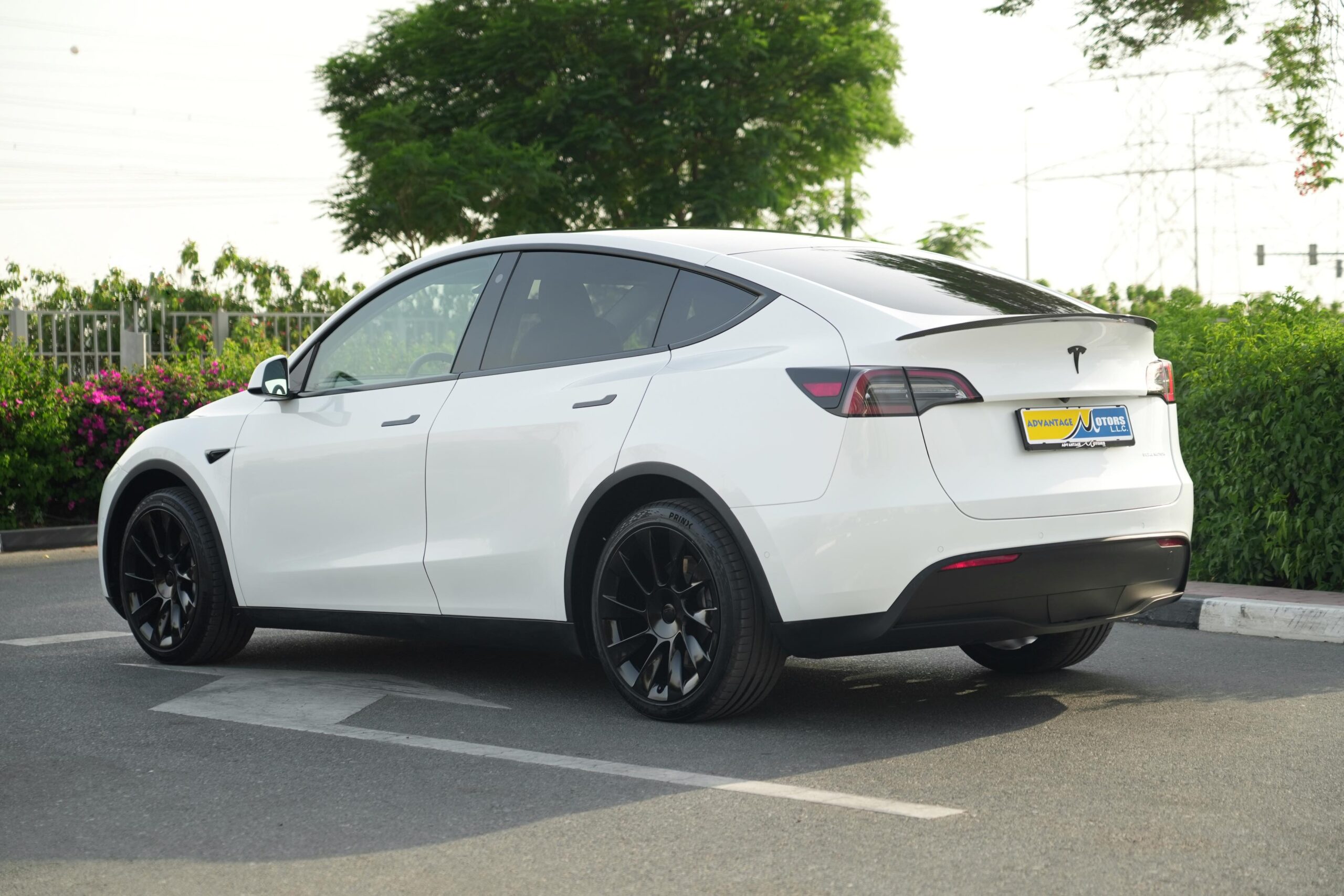 TESLA MODEL Y LONG RANGE