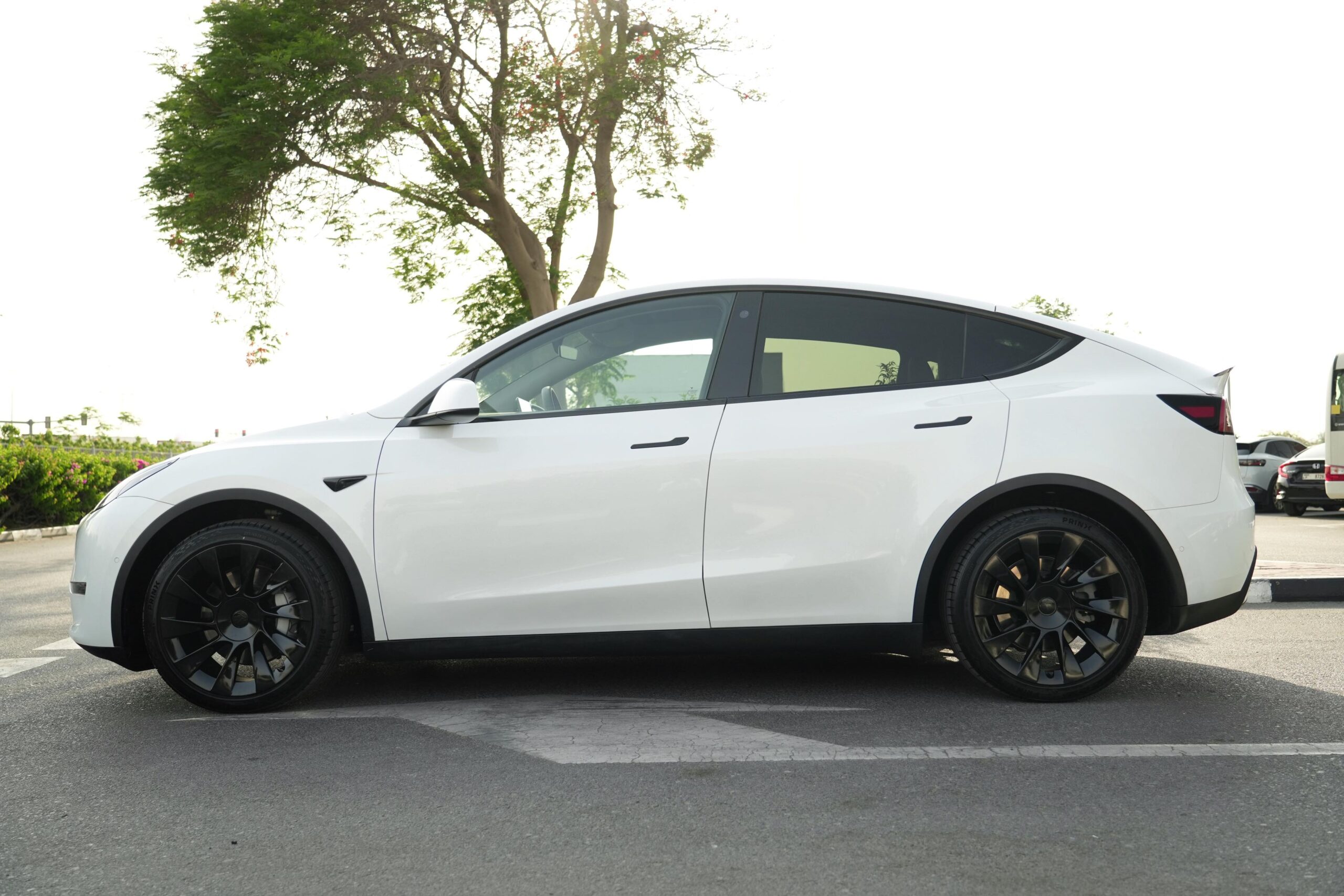 TESLA MODEL Y LONG RANGE